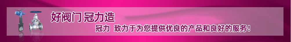 V型球閥,刀閘閥,閘閥,V型調節(jié)球閥,氣動V型調節(jié)球閥,V型球閥ZSHV,V型球閥ZSSV,對夾式V型球閥